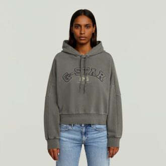 Collegic Hoodie Trui