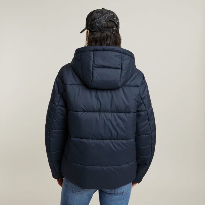 Korte kogelvis Korte kogelvis